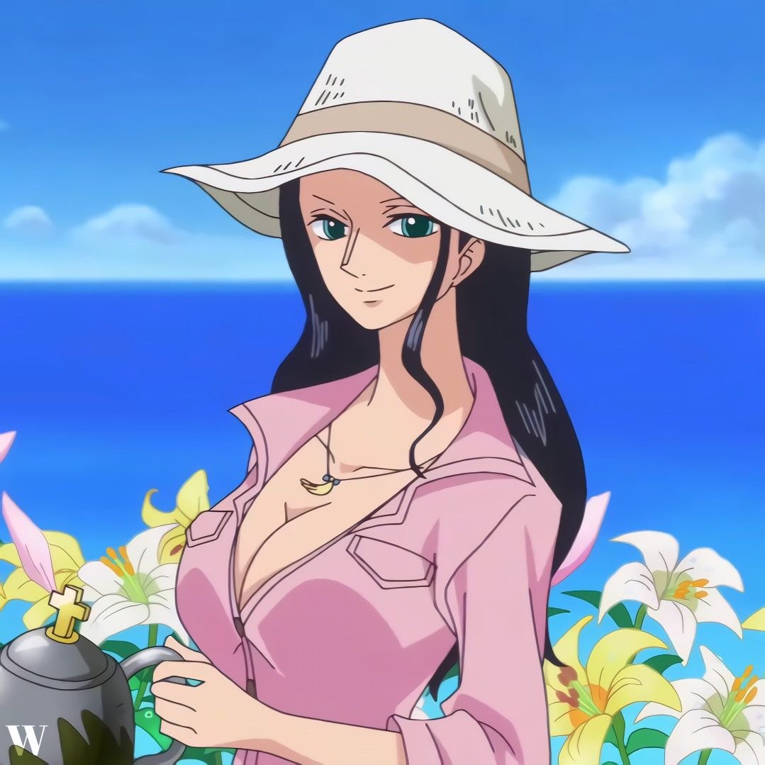 Nico Robin In Gintama Offers Unexpected Crossover Explanation